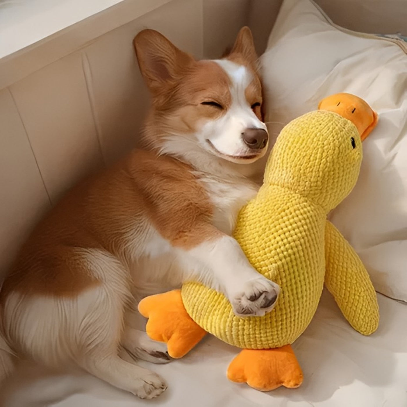 Dog Toys