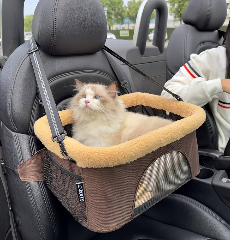 Cat Seat