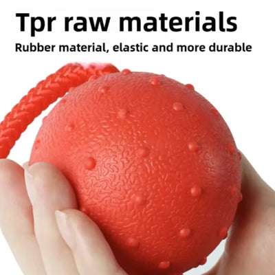 Rubber Ball with Rope Pet Teeth Indestructible Bite Toy Funny Puppy Training Solid Balls Pets Dog Chew Toys