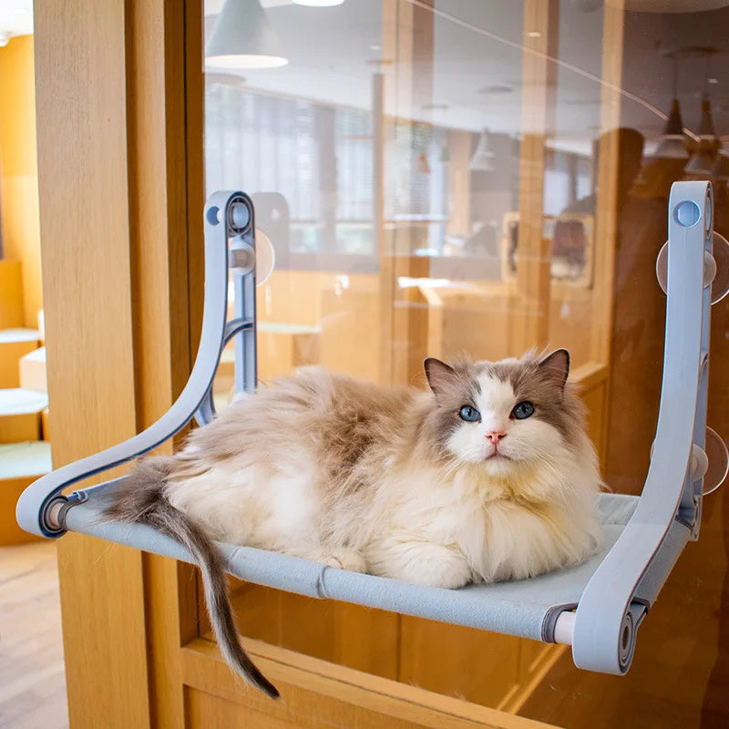 Cute Pet Hanging Beds Bearing 22.5kg Cat Sunny Window Seat Mount Pet Cat Hammock Comfortable Cat Pet Bed Shelf Seat Beds