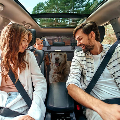 Pet pad Back Seat Extender Dog Car Seat Cover for Back Seat Bed with Mesh Window and Storage Pocket Supports 440lbs Dog Hammock