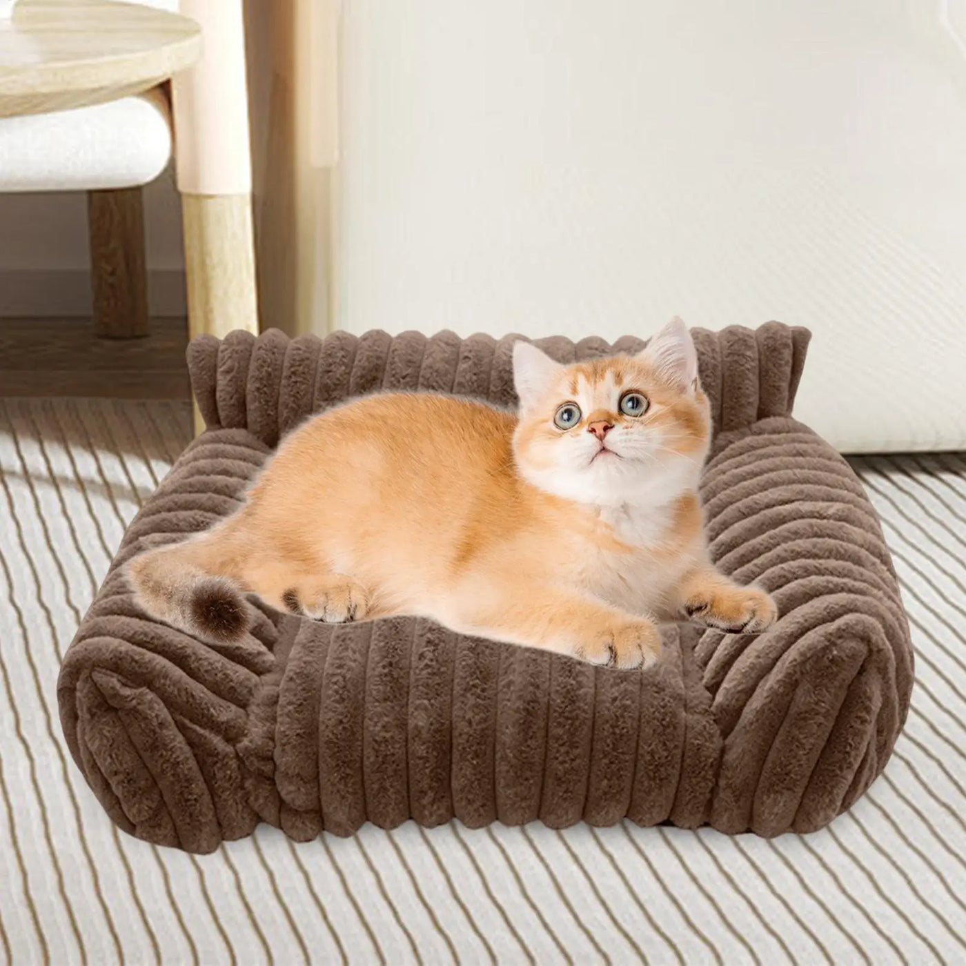 Couch For Cats Indoor Pet Couch Plush Elevated Cat And Dog Sofa Bed For Living Room Outdoors Travel Apartment Car Patio Indoors