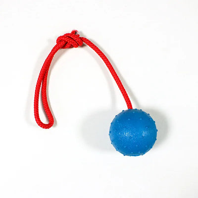 Rubber Ball with Rope Pet Teeth Indestructible Bite Toy Funny Puppy Training Solid Balls Pets Dog Chew Toys