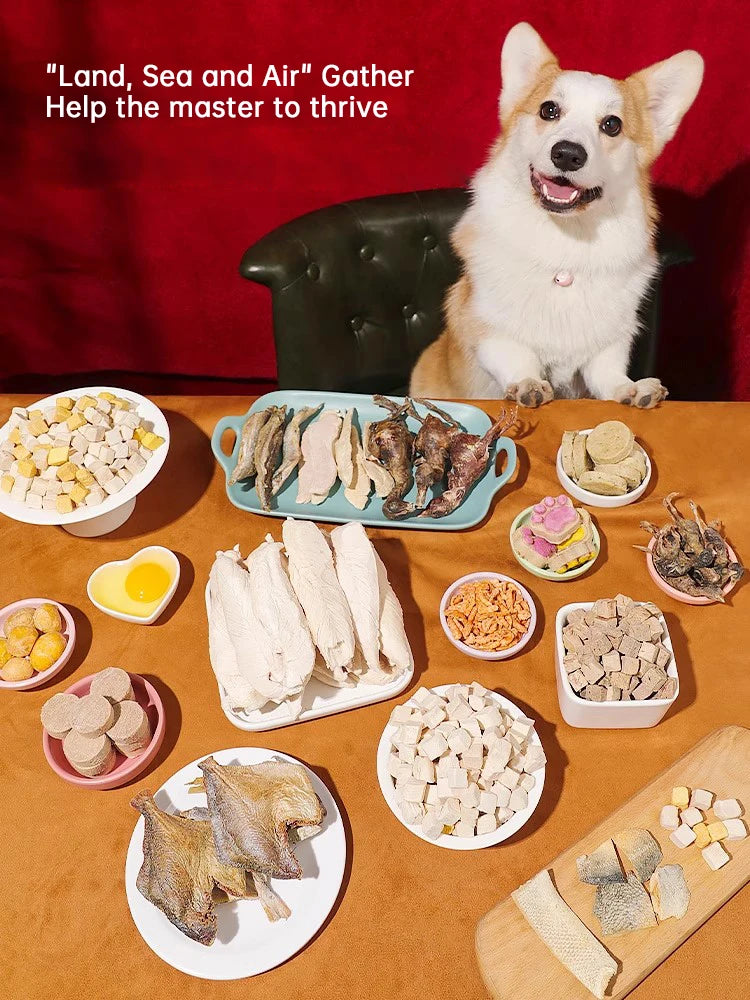 Freeze-Dried Dog Snack Pet Teddy Small Dog Puppy Cat Molar Training Reward Mix Grain Double Mix Freeze-Drying Bucket 500g